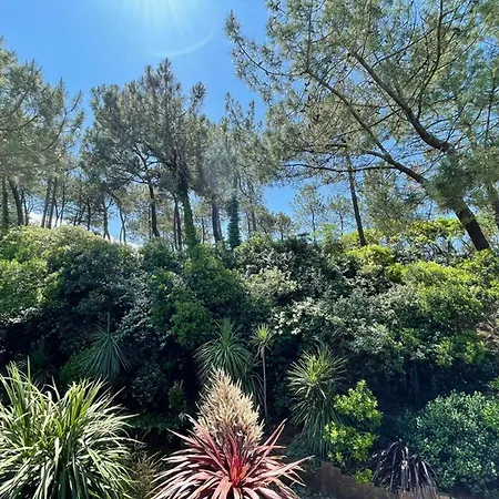 Villa Spacieuse, Haut De Gamme, Avec Piscine Chauffee, Proche Plage & Jardin Arbore - Fr-1-413-244 Capbreton