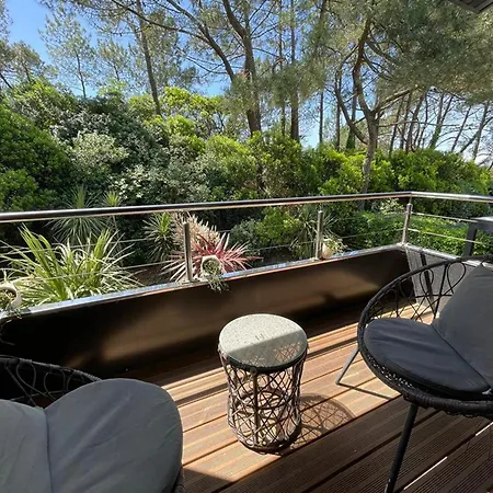 Villa Spacieuse, Haut De Gamme, Avec Piscine Chauffee, Proche Plage & Jardin Arbore - Fr-1-413-244 *